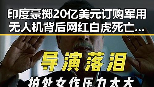 印度豪掷20亿美元订购军用无人机背后网红白虎死亡事件引发吃瓜爆料