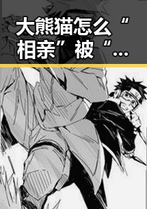 大熊猫怎么“相亲”被“月老”揭秘，管理人员都在这做样子没人去管